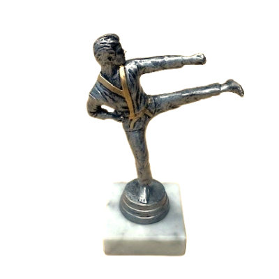 F262 karateka